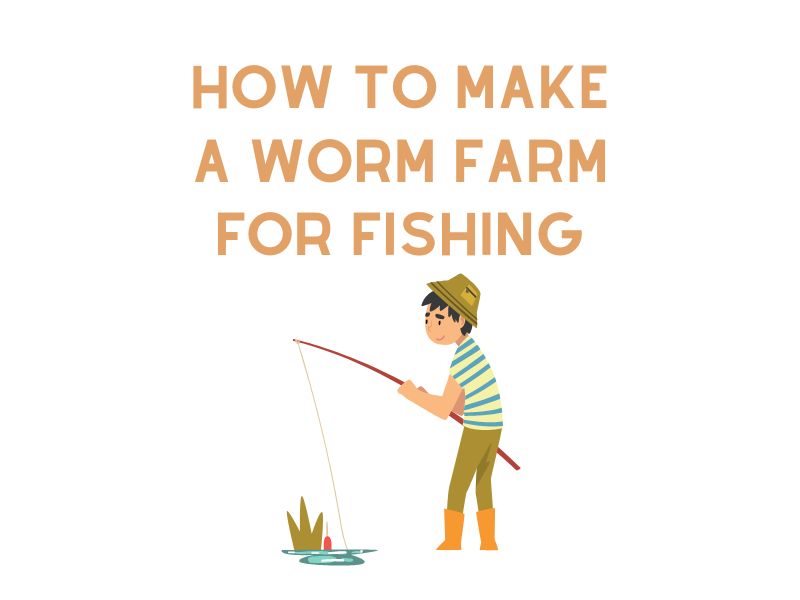 How to Make a Worm Farm for Fishing