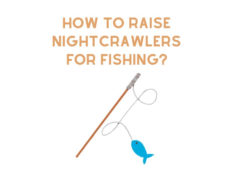 How to Raise Nightcrawlers for Fishing