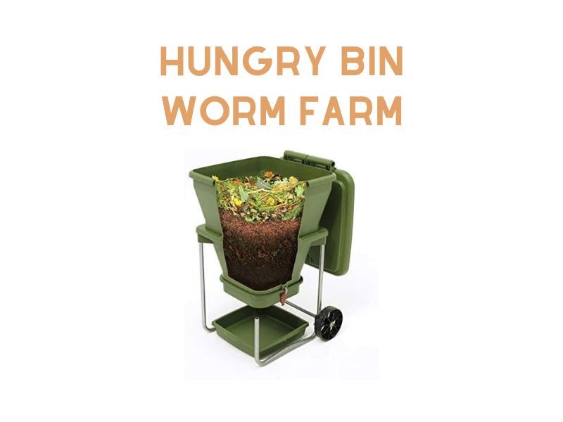 Hungry Bin Worm Composter Review