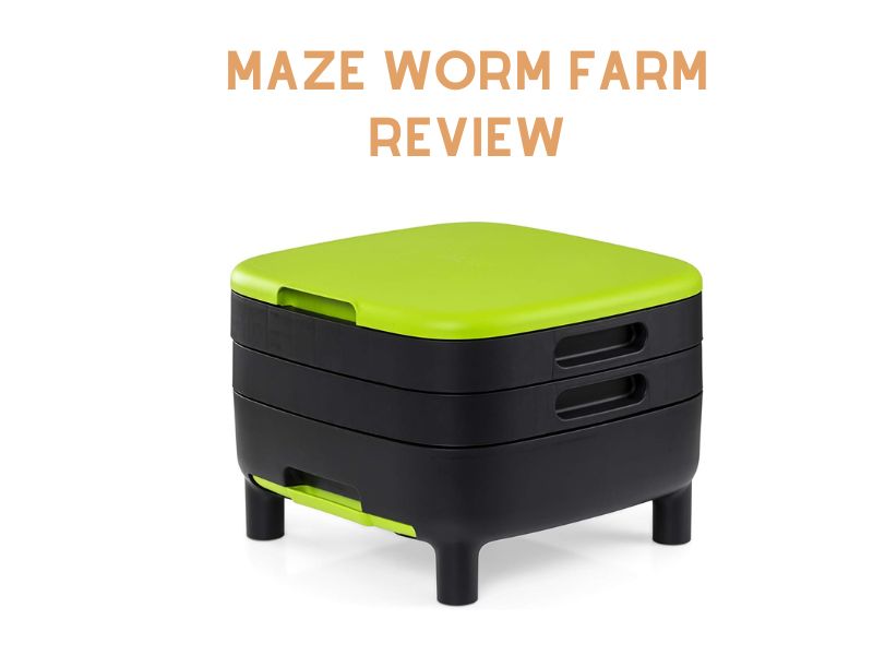 Maze Worm Farm Review