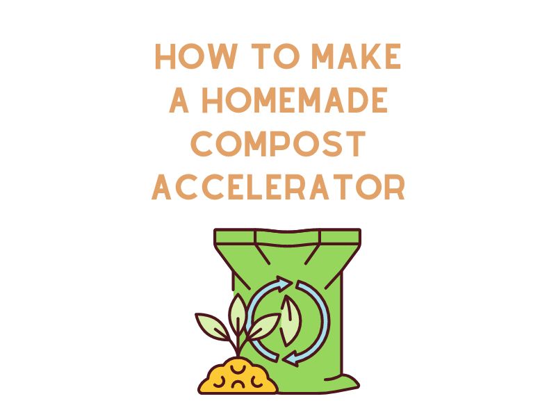 How to Make a Homemade Compost Accelerator
