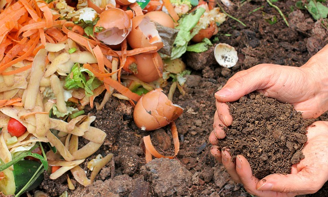 Composting: Guide to Compost