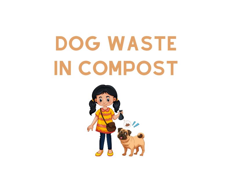 Is Dog Poop Compostable
