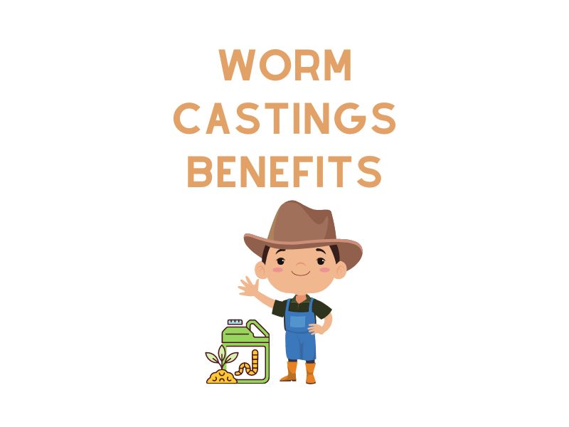 Worm Castings Benefits