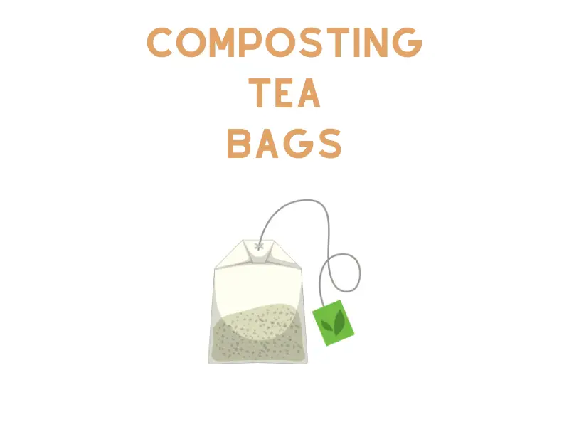 Composting Tea Bags: Are They Compostable?