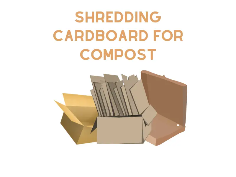 How to shred cardboard for compost