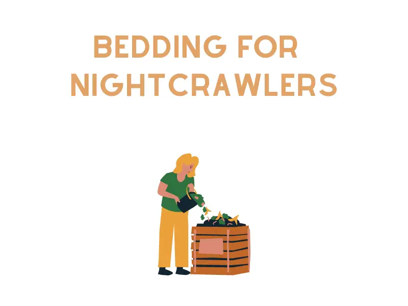 Worm bedding for Nightcrawlers