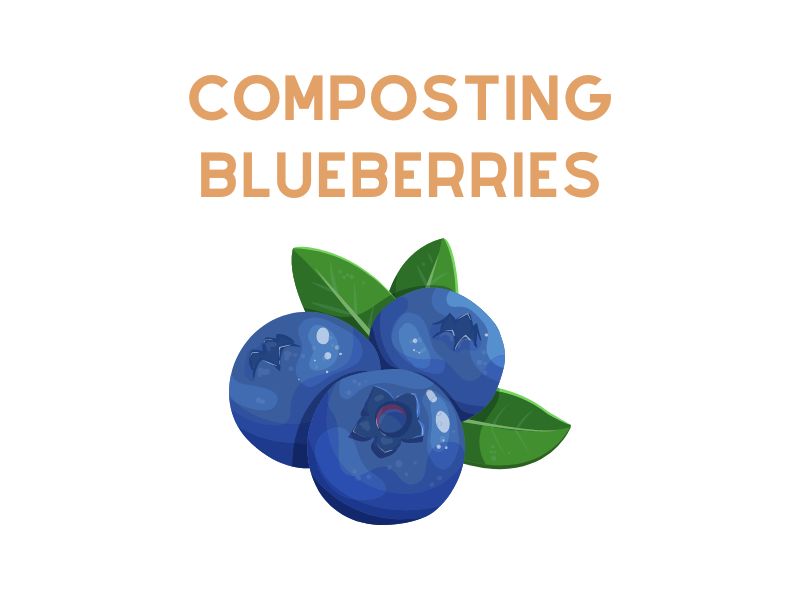 Composting Blueberries