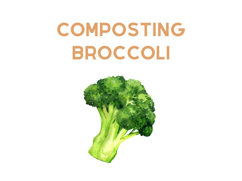 Composting Broccoli