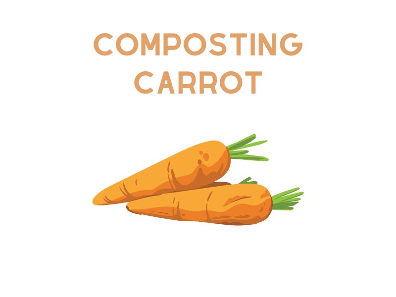 Composting Carrot