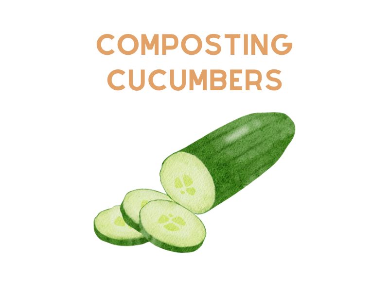 Composting Cucumbers