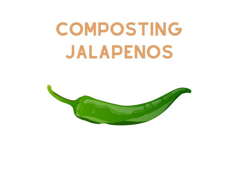 Composting Jalapenos