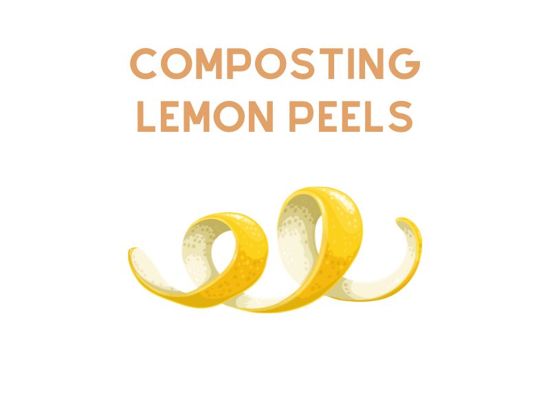 Composting Lemon Peels