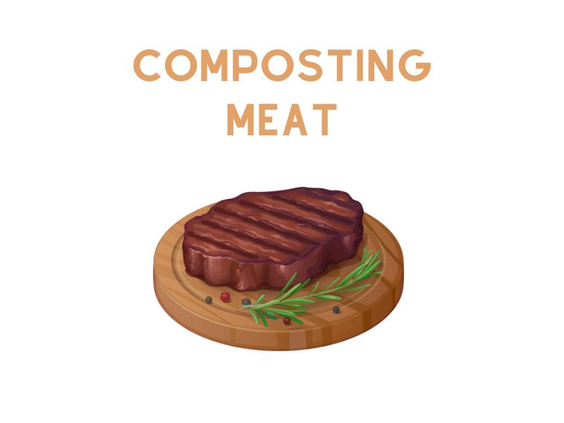Composting Meat