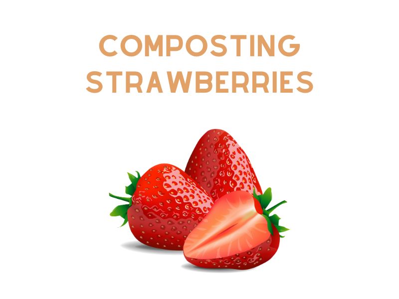 Composting Strawberries