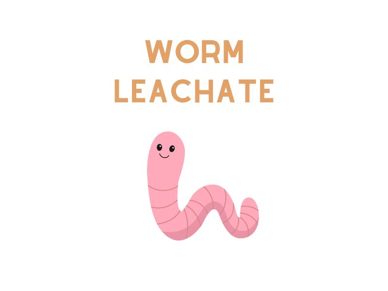 Worm Leachate