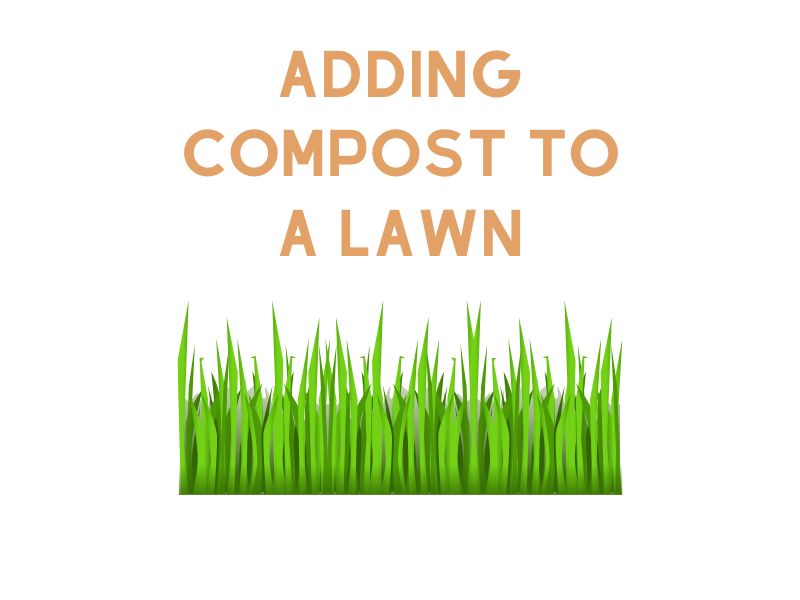 Adding Compost To A Lawn