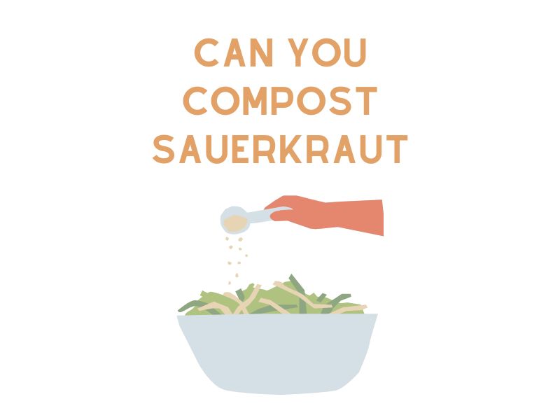 Can You Compost Sauerkraut
