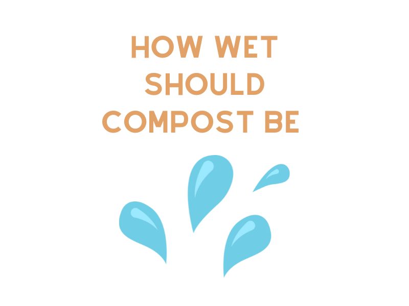 How Wet Should Compost Be
