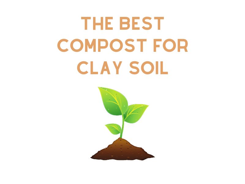 The Best Compost for Clay Soil