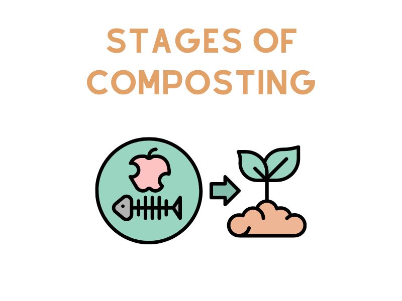 Stages Of Composting
